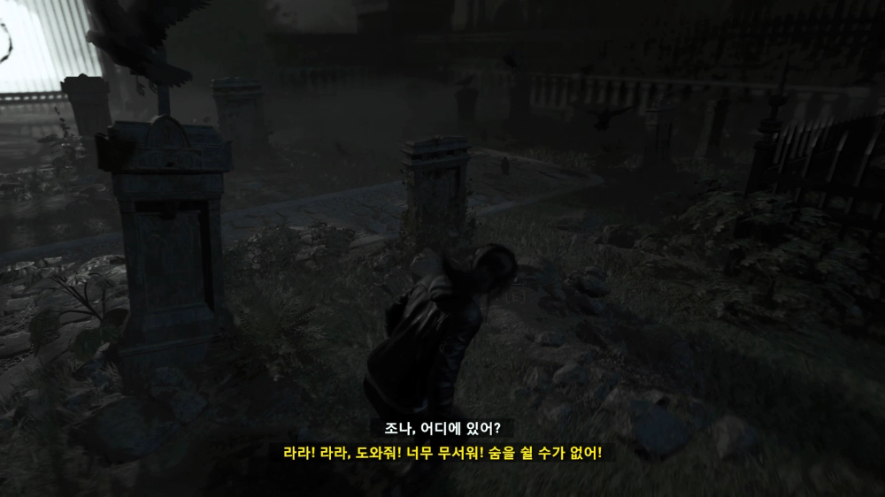 섀도우 오브 더 툼레이더 공략 - DLC 추가 임무: 악몽 (무덤: 원숭이 신들의 울부짖음 포함) - 44