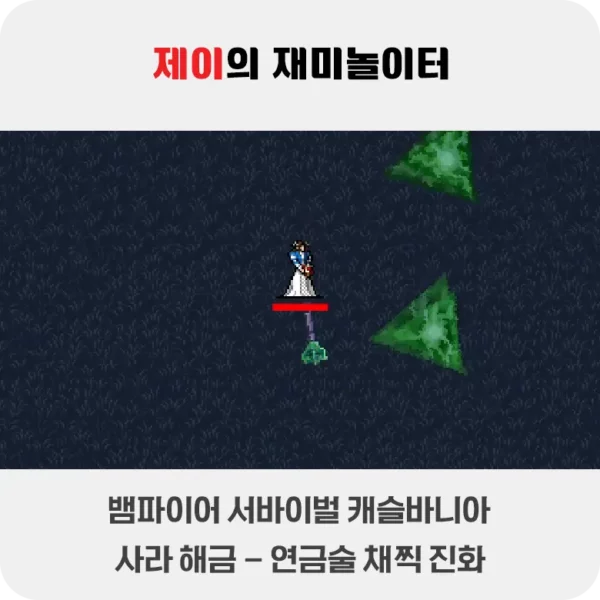 뱀파이어 서바이벌 캐슬바니아 사라 해금 - 연금술 채찍 진화 방법 - 55